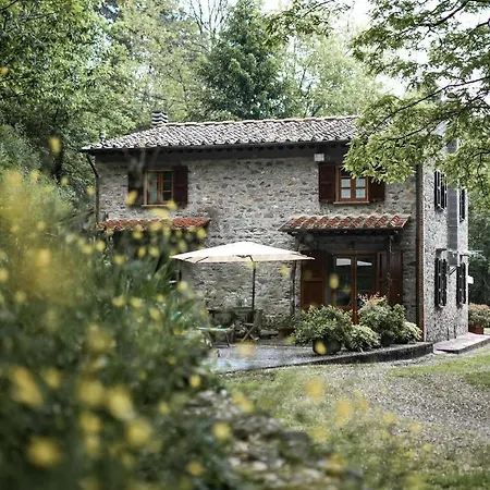Pietra D'acqua In The Woods