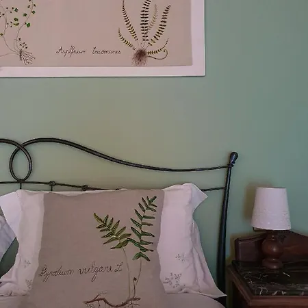 Pietra D'acqua In The Woods Bed & Breakfast Buti