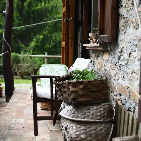 Pietra D'acqua In The Woods